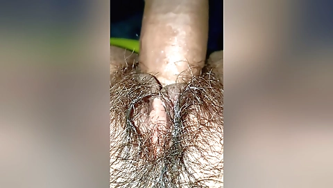 Hairy girl enjoys sex with a cock in her pov video