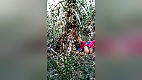 Brunette outdoor fucking with boyfriend and her pussy