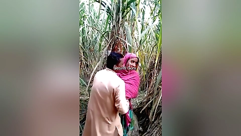 Amateur brunette outdoor sex with some cock and a big butt