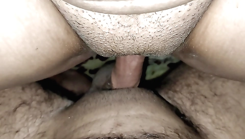 Brunette with small tits and a sexy pussy gets banged